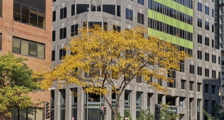 Montréal     |   21  /  36    |